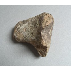 Os de dinozaur Cretacic