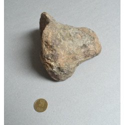 Os de dinozaur Cretacic