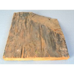 "Proorocul Solomon" fragment de catapeteasma Moldova secolul 18