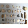 Lot de 67 de fosile din Devonian, Jurasic, Cretacic, Eocen, Miocen, Pleistocen