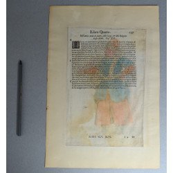 Nicolas de Nicolay "Schiava Mora" xilogravură colorată manual Veneția 1580
