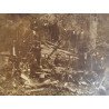 Lucrători forestieri români fotografie veche cca. 1890–1910
