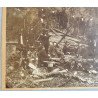 Lucrători forestieri români fotografie veche cca. 1890–1910